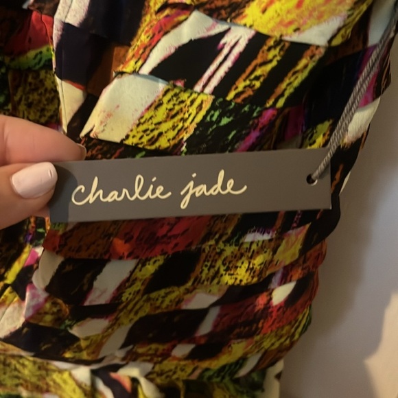 NWT Charlie Jade silk strapless dress size small - Picture 4 of 9